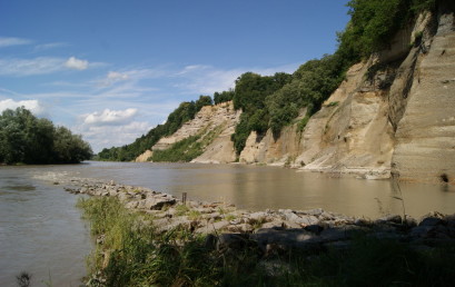 Die Salzach zwischen Salzburg und Oberndorf/Laufen: Nutzungsinteressen, Konflikte und aktuelle Lösungen