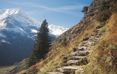 Die Verwilderung der Alpen – ein besonderer Lebensraum zwischen Verstädterung, Freizeitdruck und Wildnis