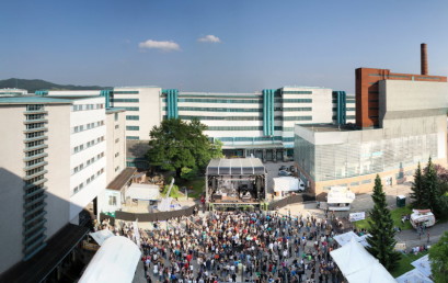 Kreative und der Denkmalschutz: Die neue Linzer Tabakfabrik als Chance und Herausforderung der Stadtplanung