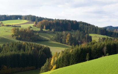 Eine Region nutzt ihre Potentiale: 25 Jahre erfolgreiche Regionalentwicklung am Beispiel der “Mühlviertler Alm”