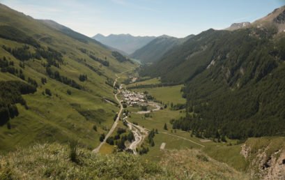 Artenvielfalt und Lebensräume in den Alpen – Welche Rolle spielt der Mensch?