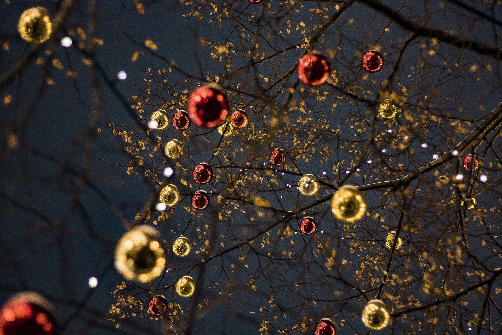 Frohe Weihnachten und ein gutes neues Jahr