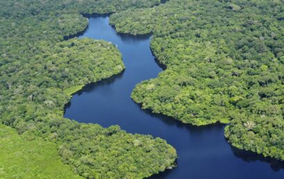 Die tropischen Regenwälder Amazoniens – ihre Bedeutung und ihre Bedrohung in Zeiten des Klimawandels und der Umweltzerstörung