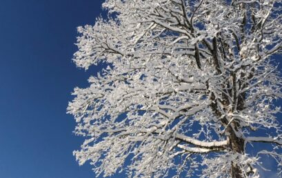 Friedliche Feiertage und ein gutes Neues Jahr 2026