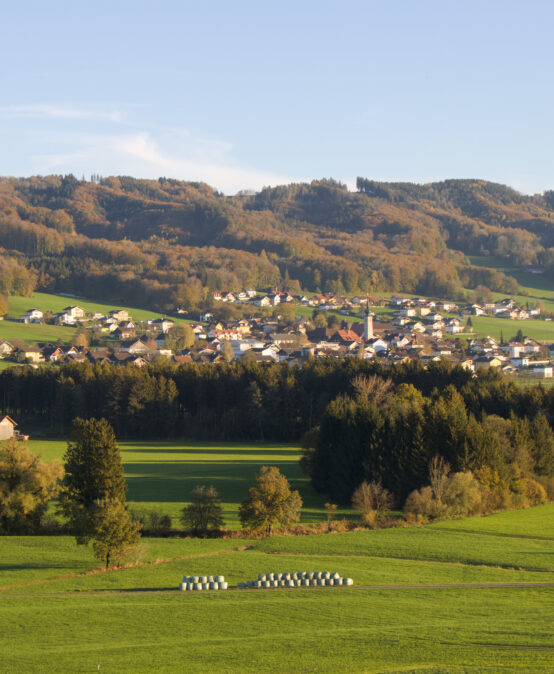 Haunsberg, Oichten- und Salzachtal: Von den Fosilien bei St. Pankraz über Erdöl und Erdgas in Nussdorf bis hin zur gemeinsamen Geschichte von Oberndorf und Laufen