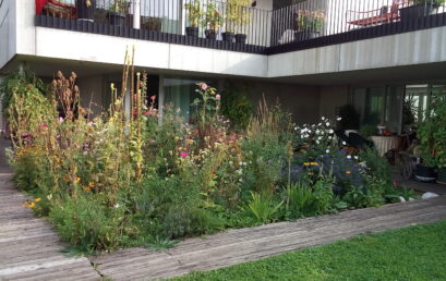 So geht grüne Stadt – Lernen von vorbildhafter urbaner Grünraumgestaltung in Salzburg