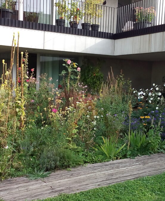 So geht grüne Stadt – Lernen von vorbildhafter urbaner Grünraumgestaltung in Salzburg